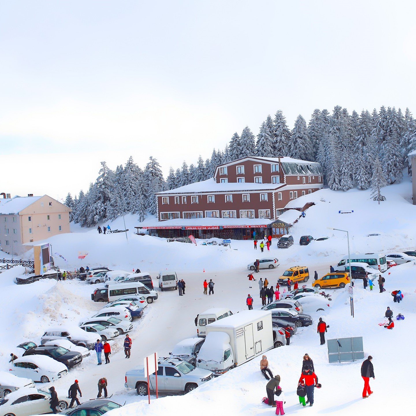 Bursa